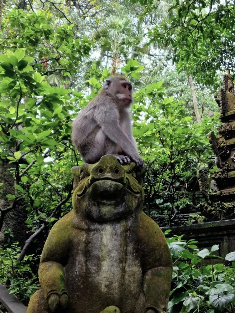 Sacred Monkey Forest Sanctuary