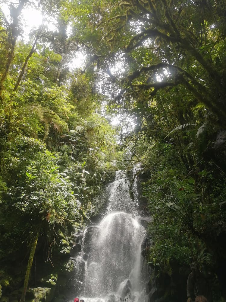 Parc national Braulio Carrillo