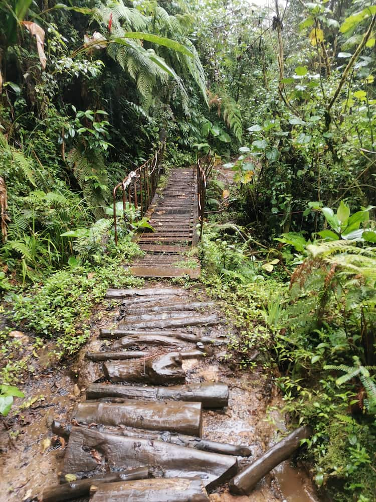 Parc national Braulio Carrillo