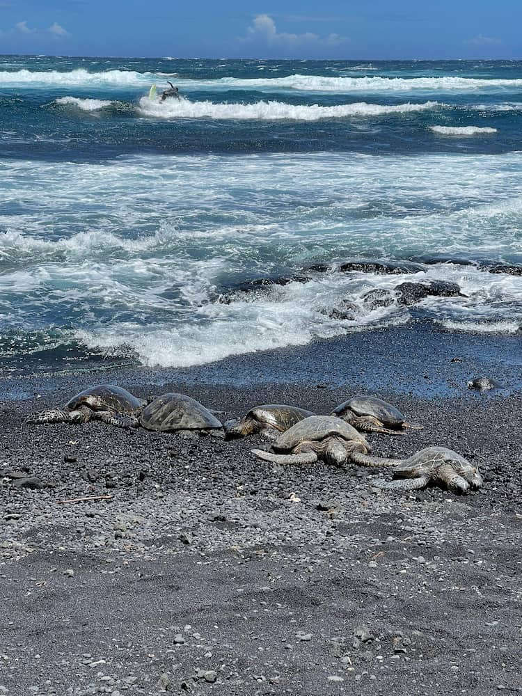 Plage de Punalu'u, Hawaii