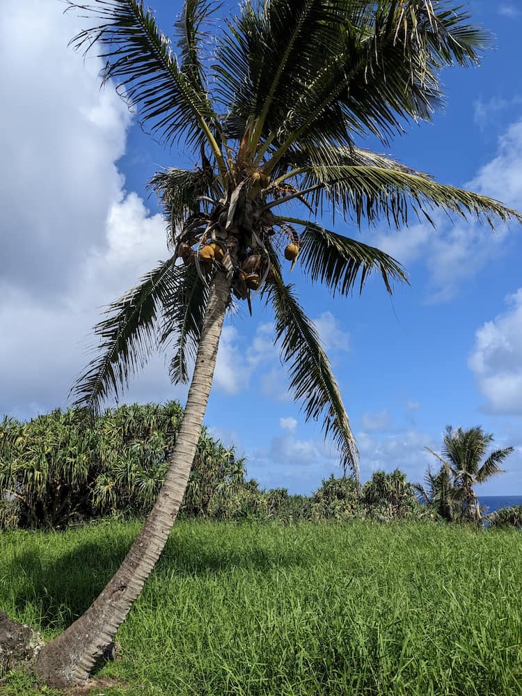 Kipahulu, Maui