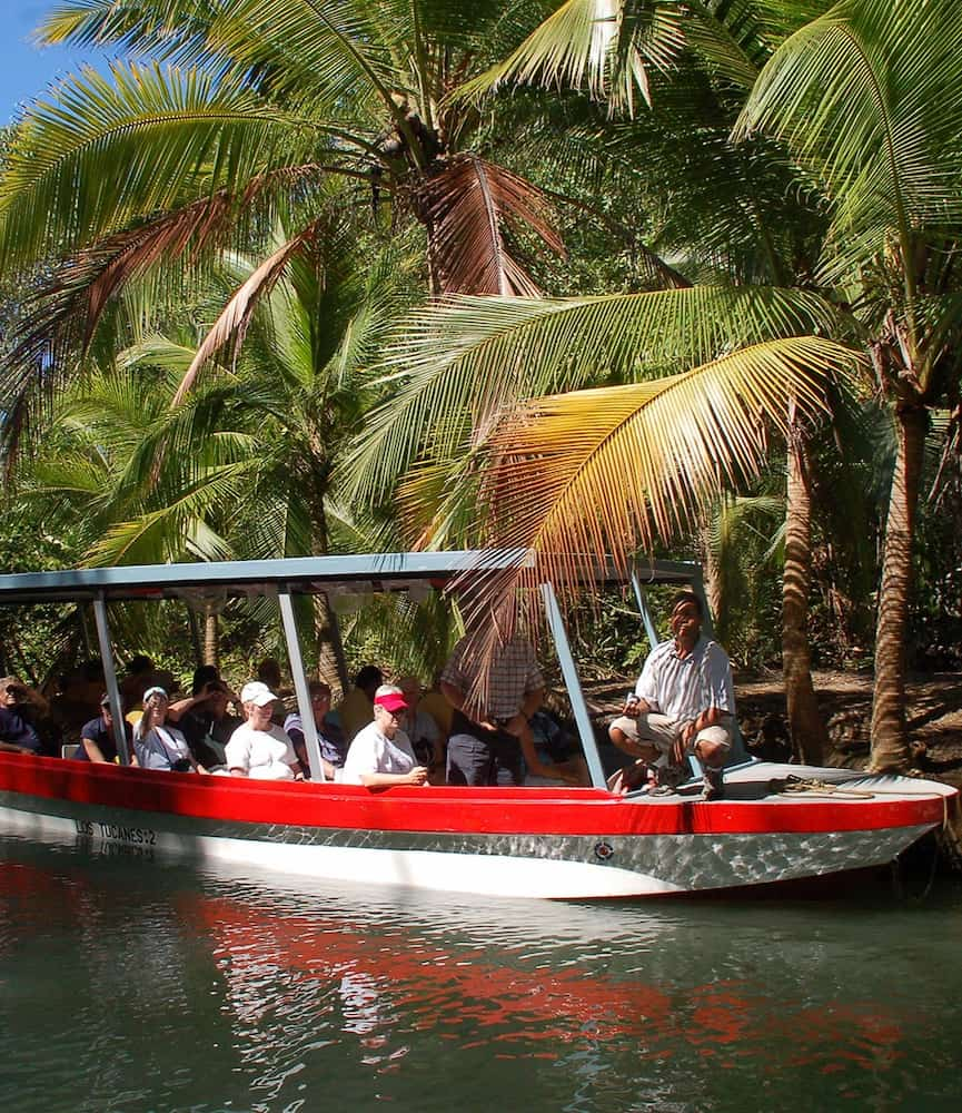 Excursions dans les mangroves