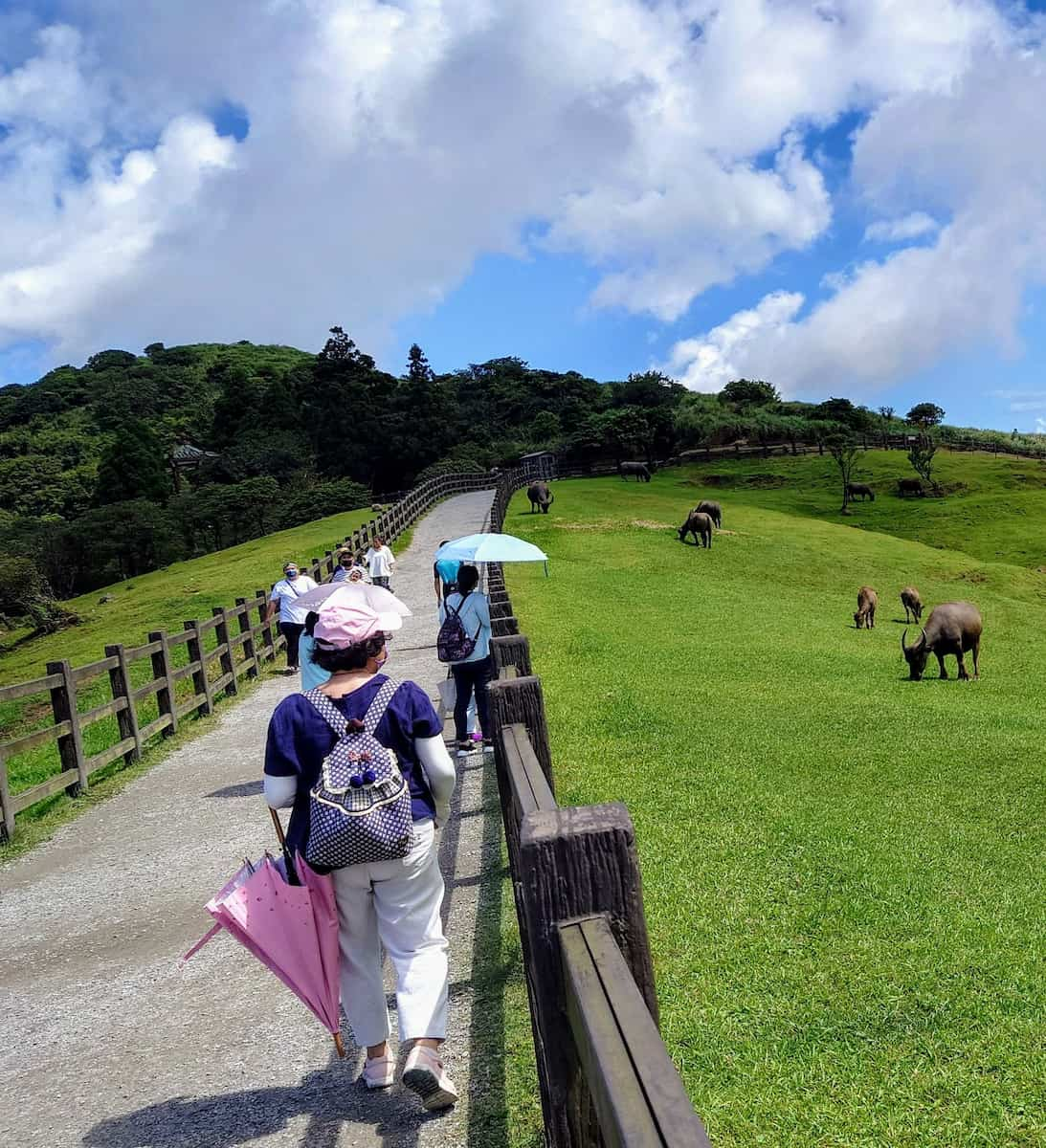 Parc national de Yangmingshan