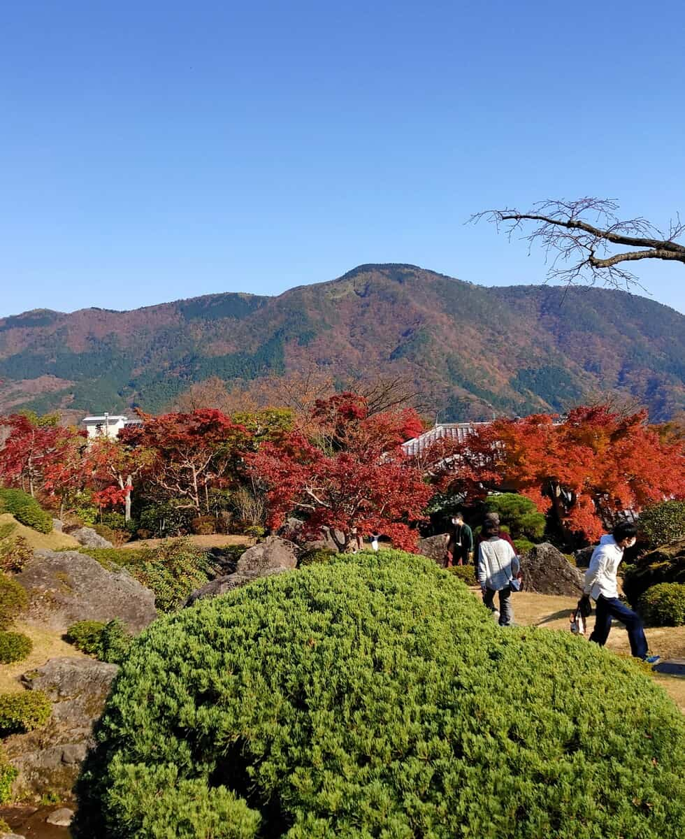 Parc Hakone Gora