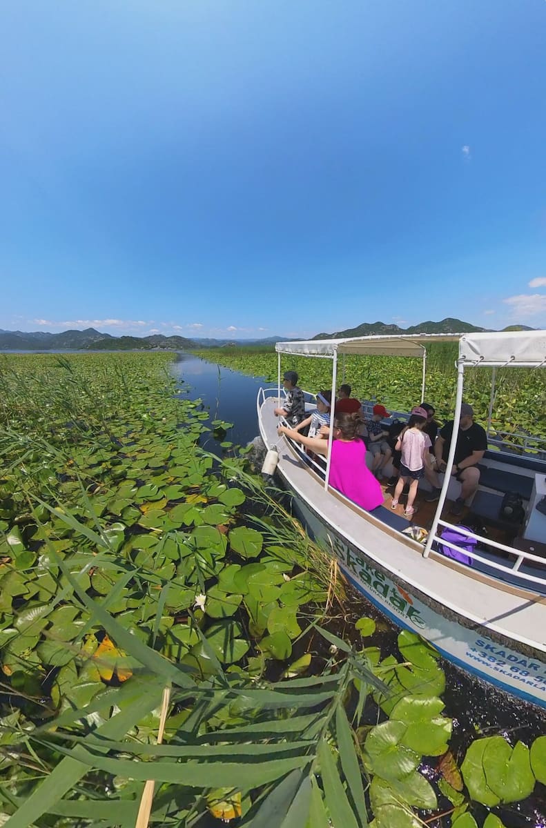 Le lac Skadar, Montenegro