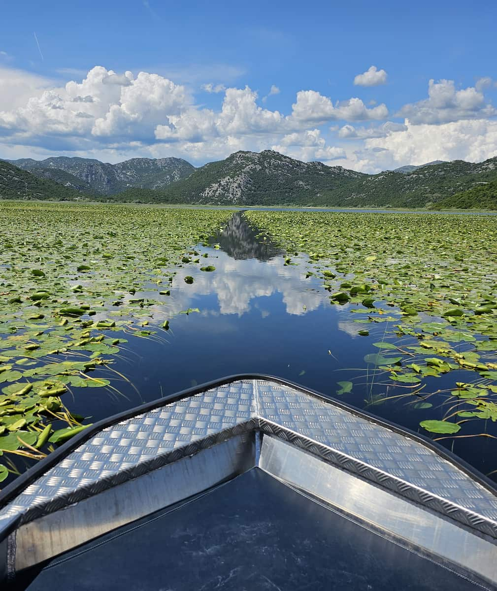 Le lac Skadar, Montenegro