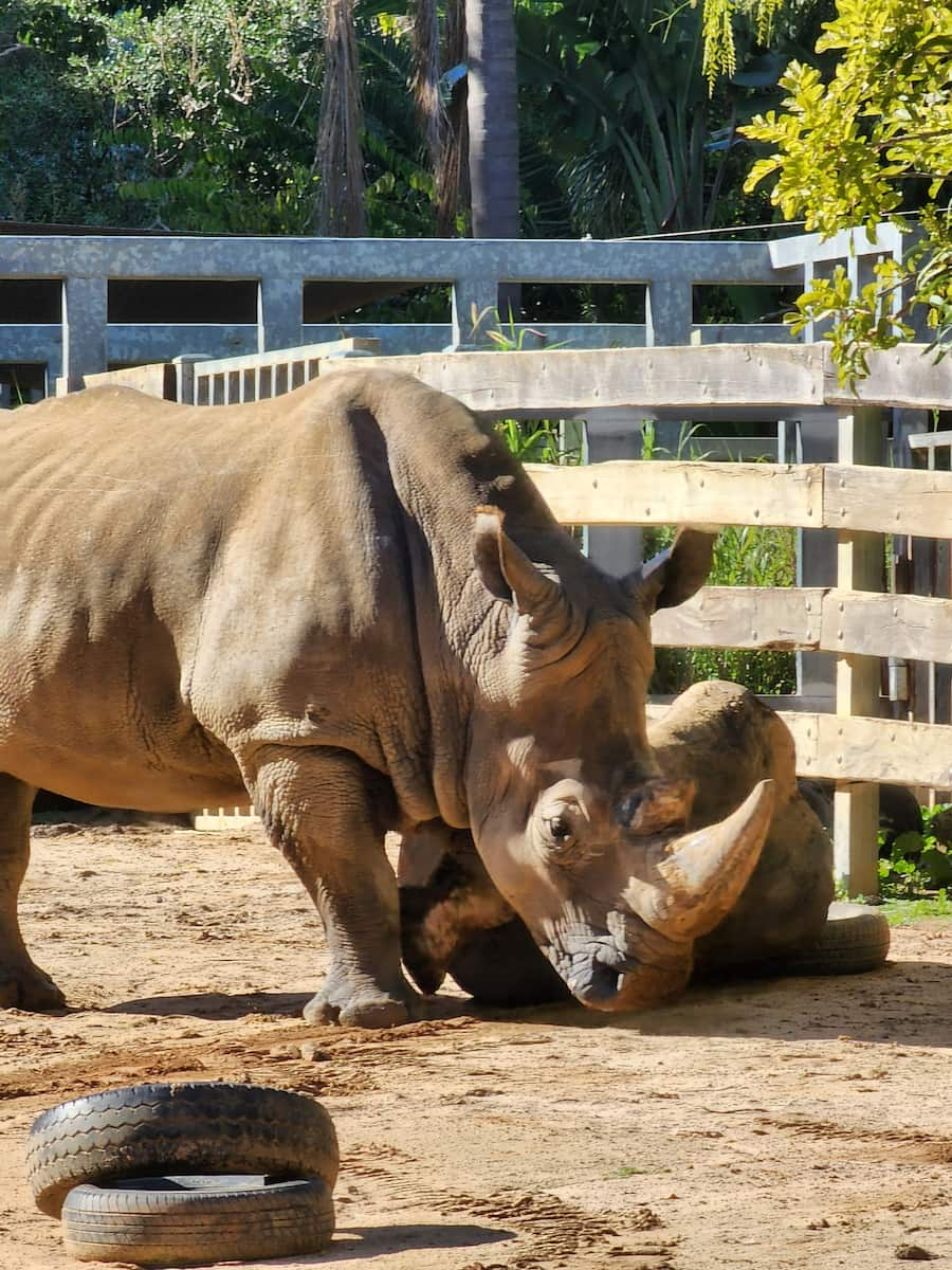 Zoo de Perth