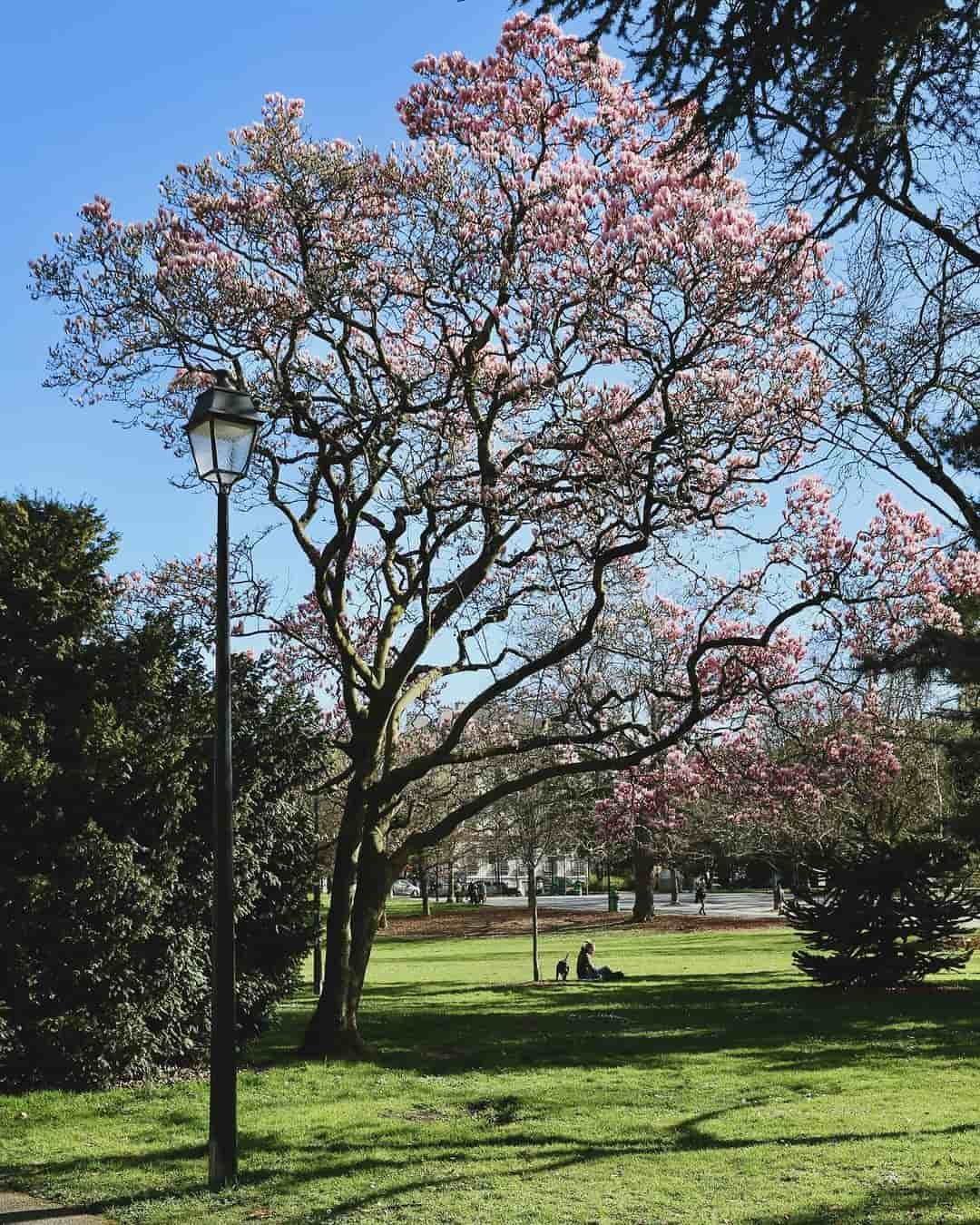 Parc des Bastions