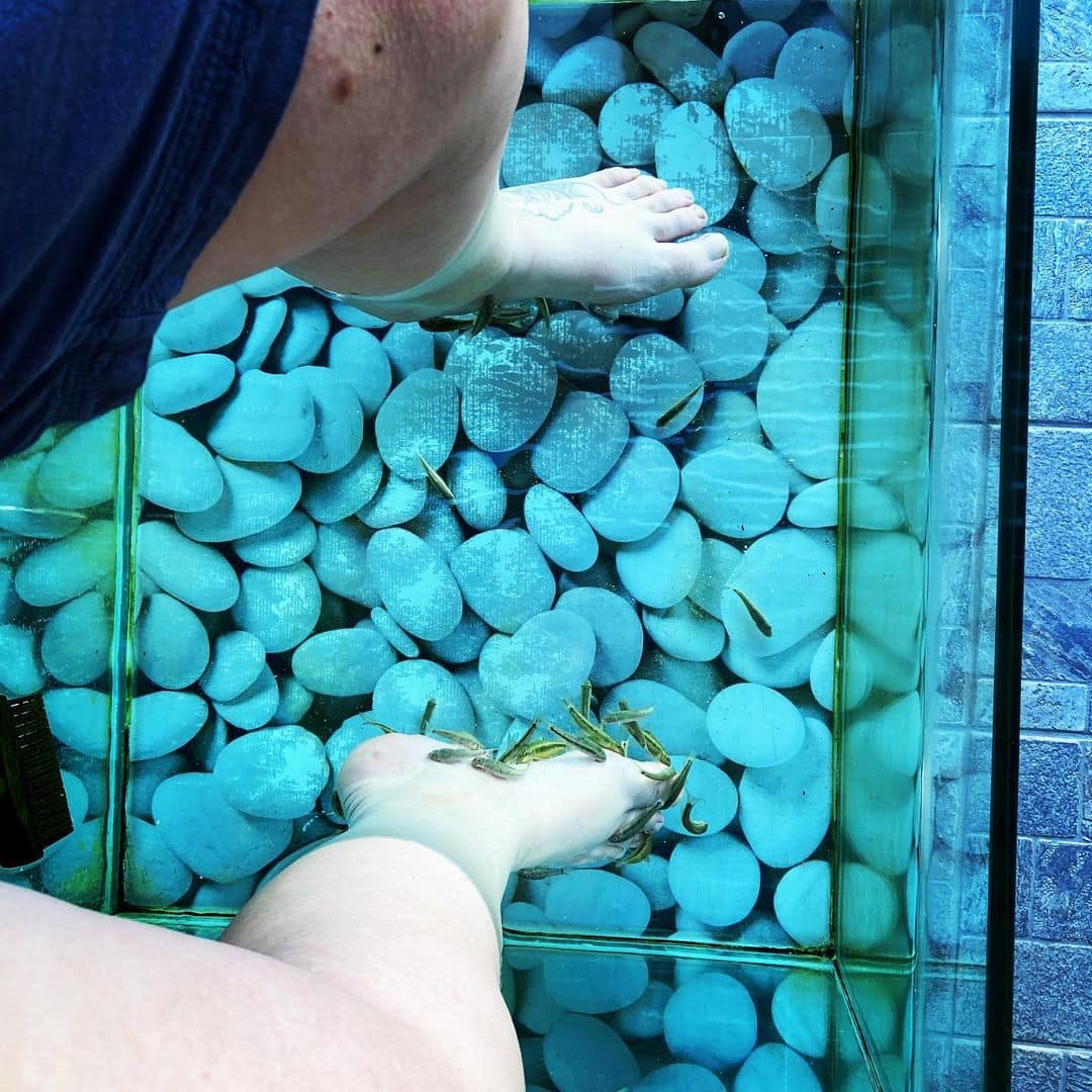 Aqua Marine Fish Spa