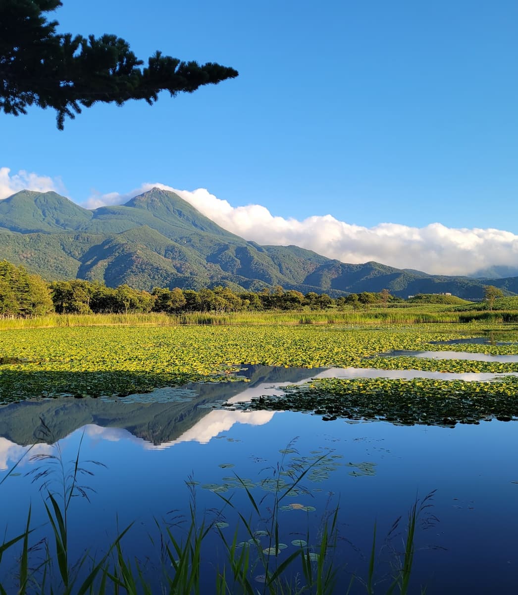 Japon, Parc national de Shiretoko