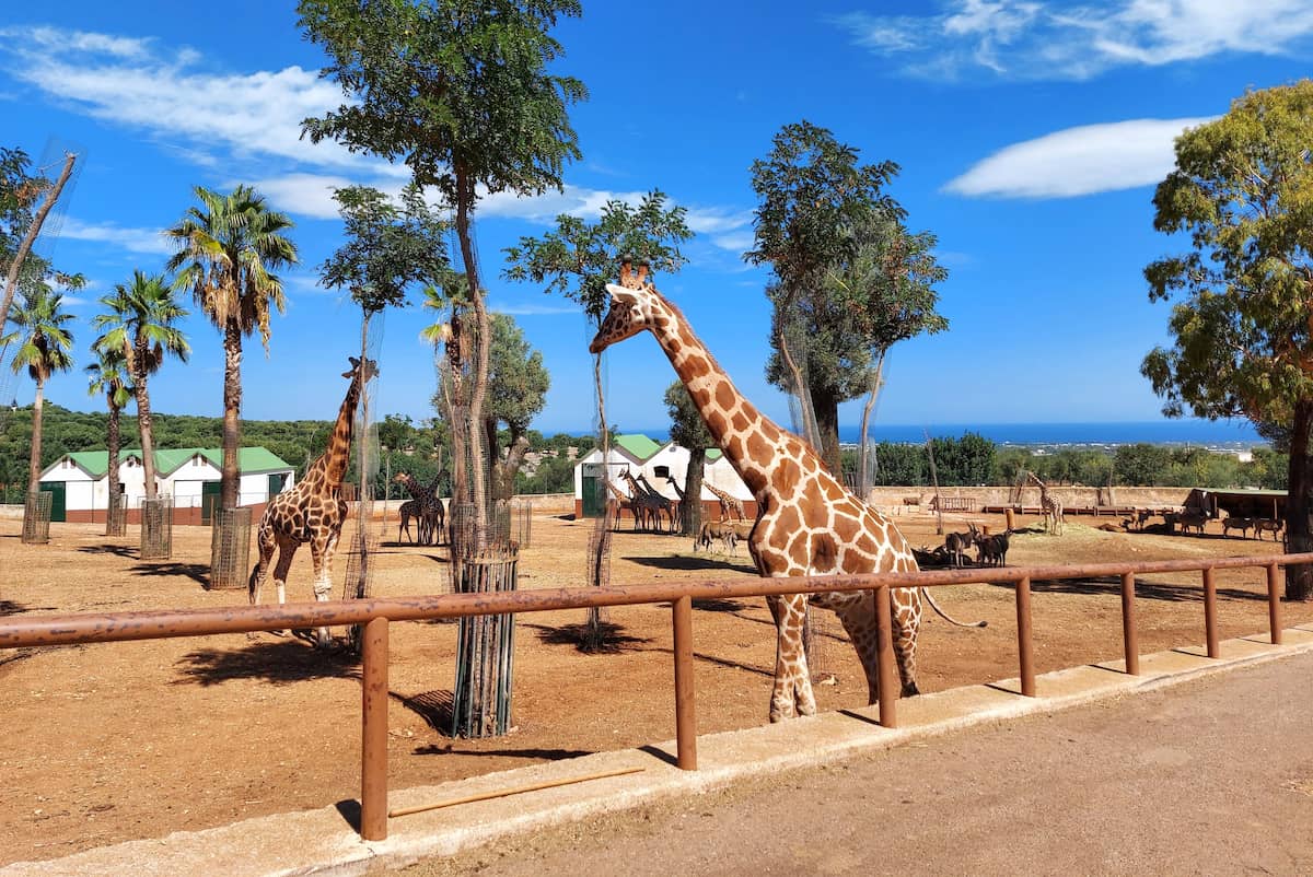 Le Zoosafari Fasanolandia, Alberobello